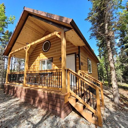 Denali Wild Stay - Redfox Cabin, Free Wifi, Private, Sleep 6 Healy Exterior foto