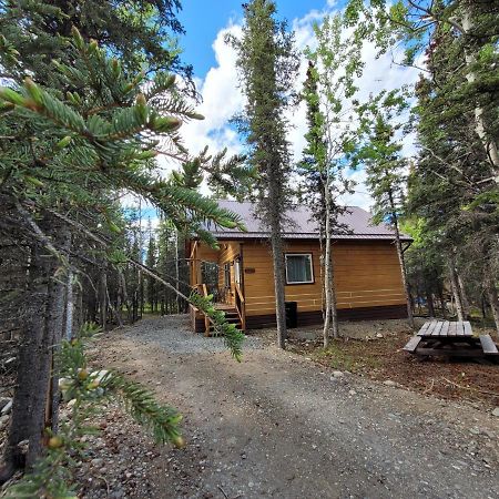 Denali Wild Stay - Redfox Cabin, Free Wifi, Private, Sleep 6 Healy Exterior foto