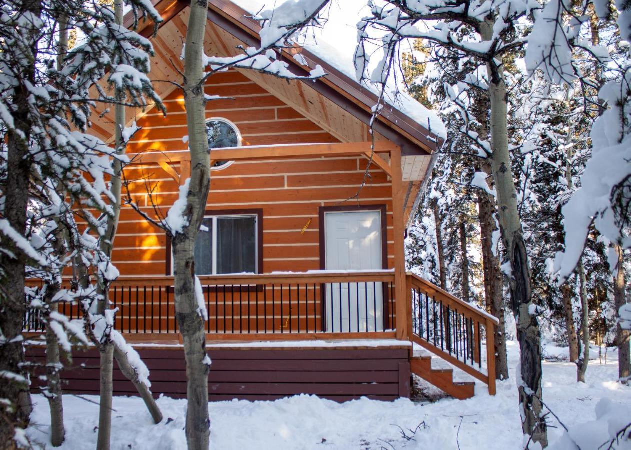 Denali Wild Stay - Redfox Cabin, Free Wifi, Private, Sleep 6 Healy Exterior foto