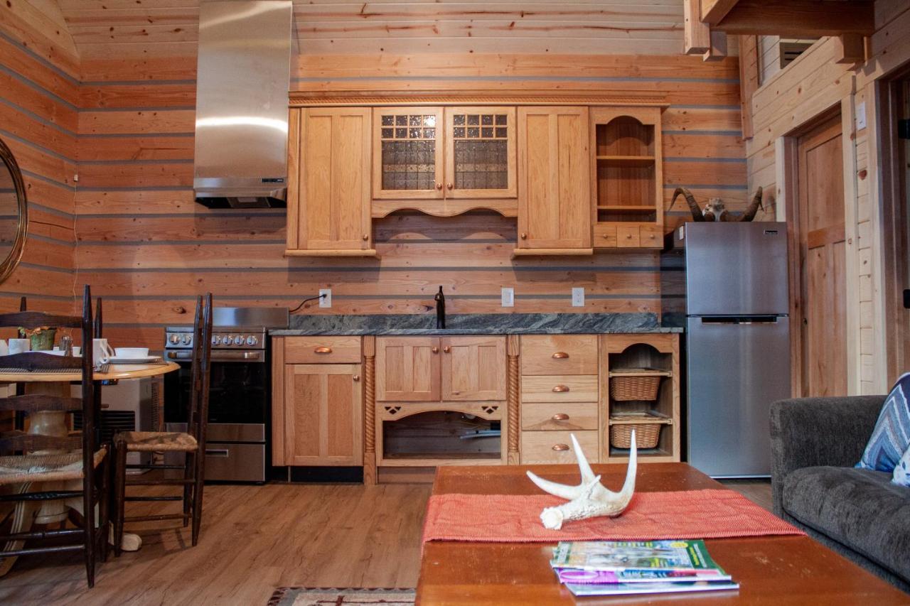 Denali Wild Stay - Redfox Cabin, Free Wifi, Private, Sleep 6 Healy Exterior foto