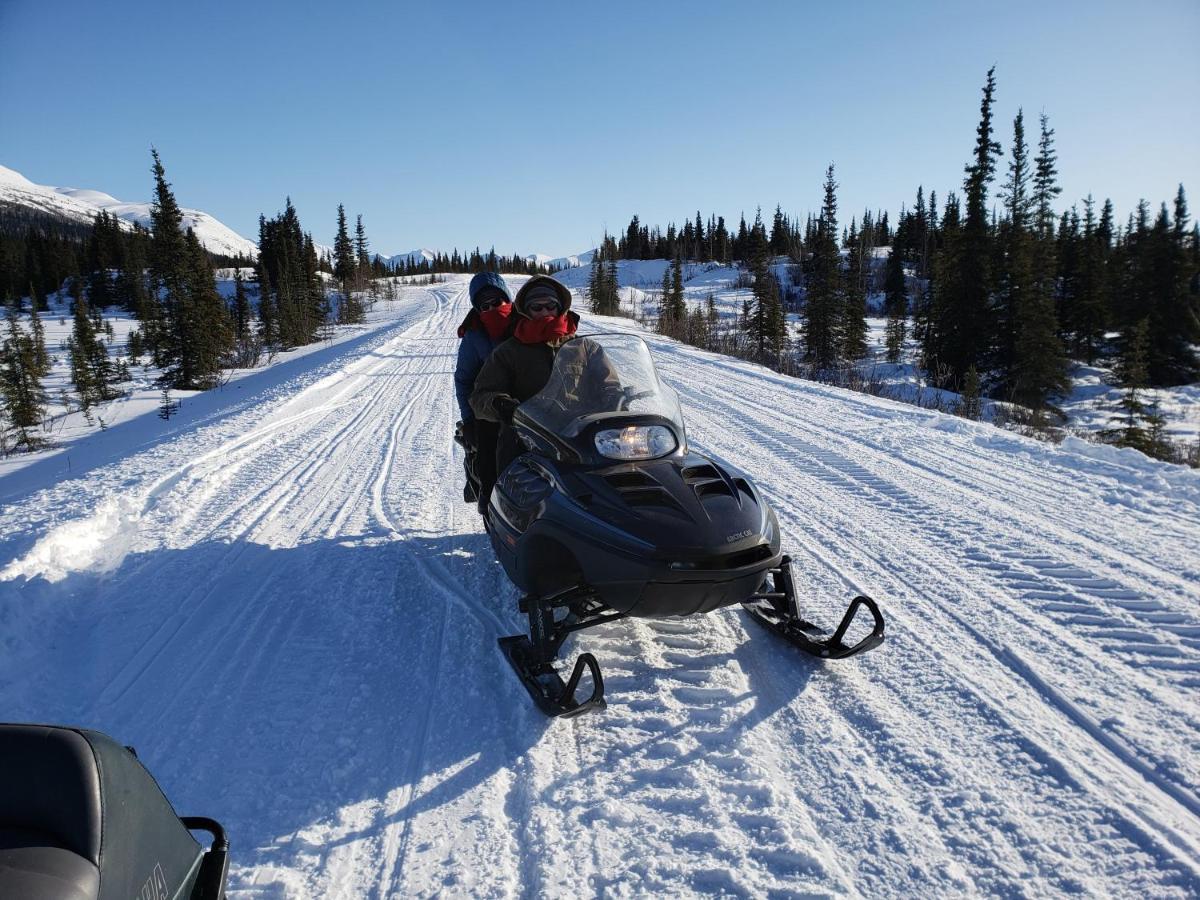 Denali Wild Stay - Redfox Cabin, Free Wifi, Private, Sleep 6 Healy Exterior foto