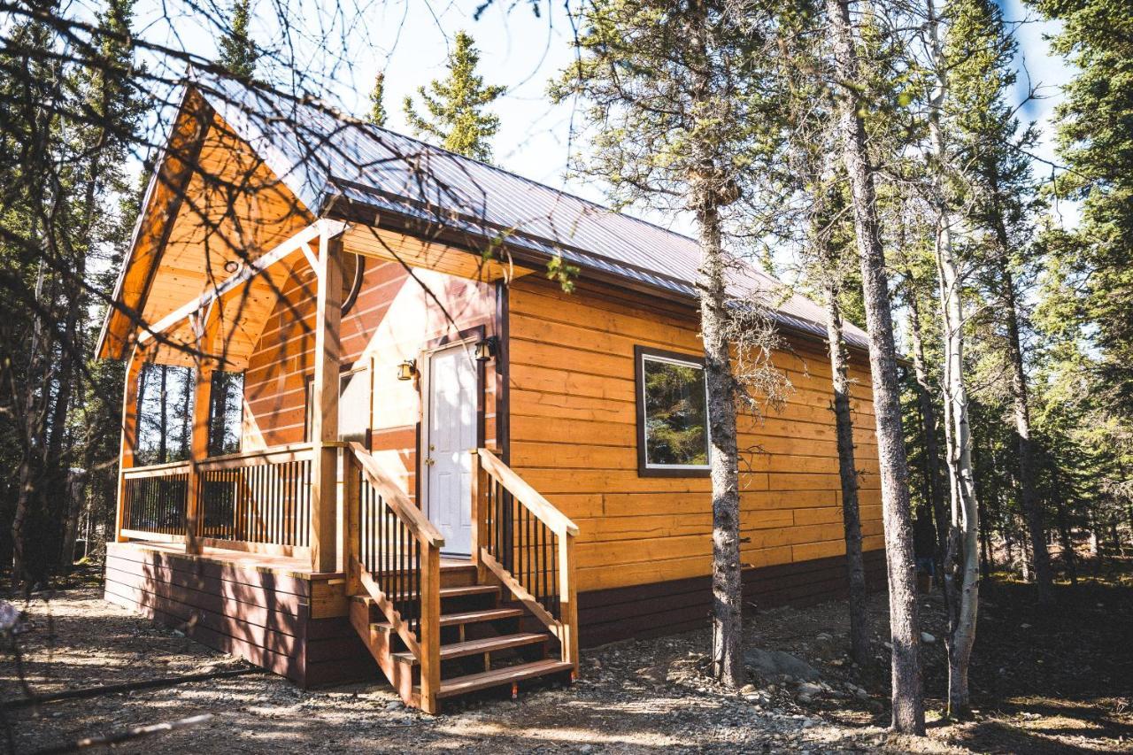 Denali Wild Stay - Redfox Cabin, Free Wifi, Private, Sleep 6 Healy Exterior foto