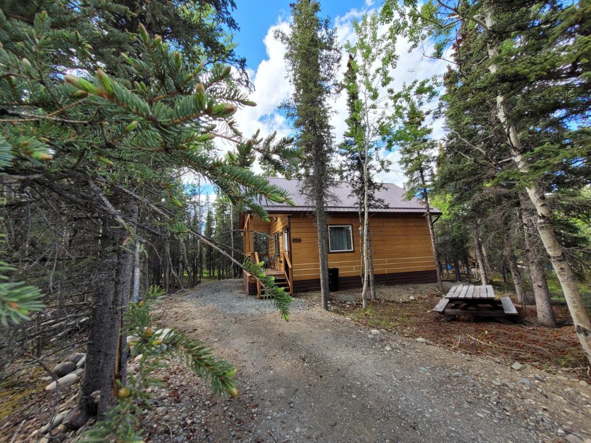 Denali Wild Stay - Redfox Cabin, Free Wifi, Private, Sleep 6 Healy Exterior foto